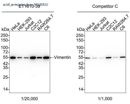 HUABIO HA750215 image 2