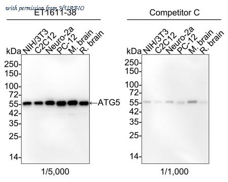 HUABIO HA750251 image 1