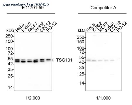 HUABIO HA750316 image 1