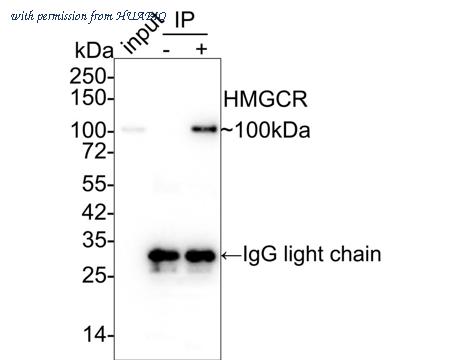 HUABIO HA750345 image 2