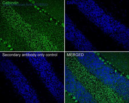 HUABIO HA750351 image 3