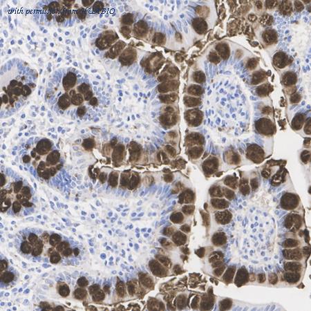 HUABIO HA750401 image 2