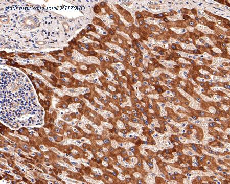 HUABIO HA750407 image 3