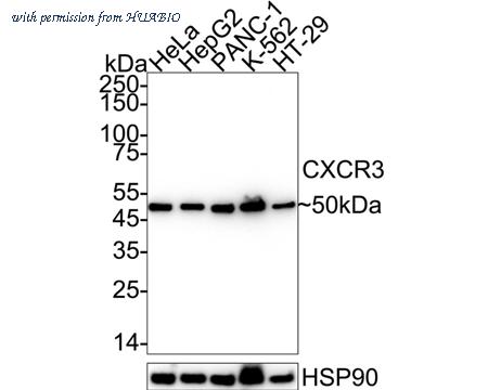 HUABIO HA750422 image 1