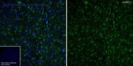 HUABIO HA750457 image 3