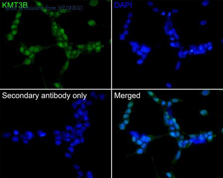 HUABIO HA750507 image 1