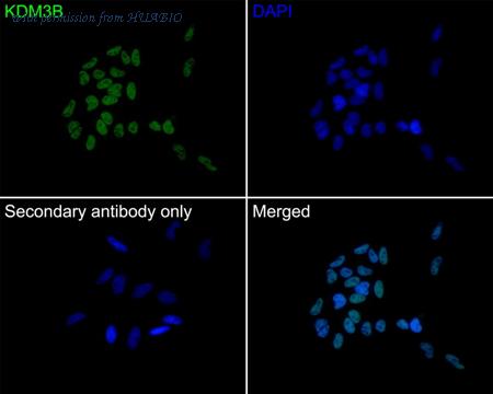 HUABIO HA750508 image 3