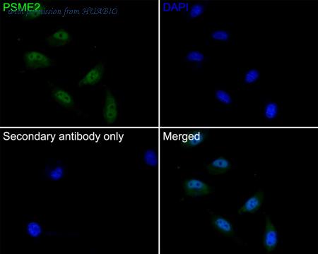 HUABIO HA750579 image 3