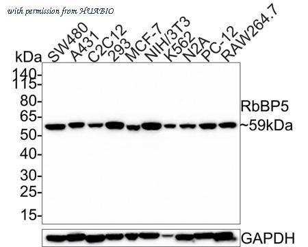 HUABIO HA750585 image 1