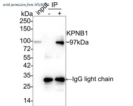 HUABIO HA750735 image 2