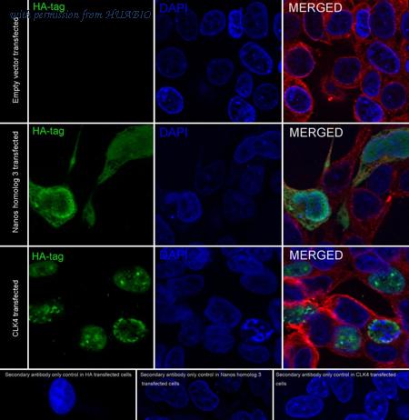 HUABIO HA750766 image 2
