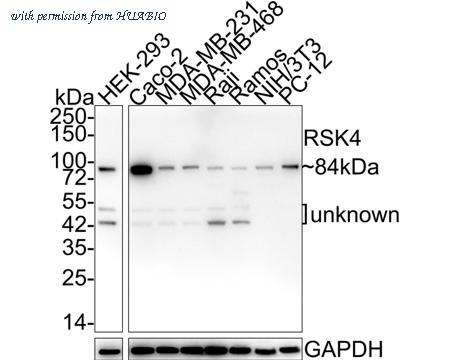 HUABIO HA750774 image 1