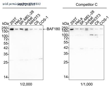 HUABIO HA750799 image 1