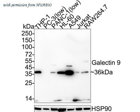 HUABIO HA750809 image 1