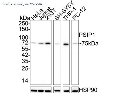 HUABIO HA750818 image 1
