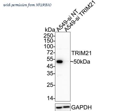 HUABIO HA750819 image 3