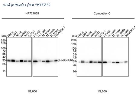 HUABIO HA750832 image 1