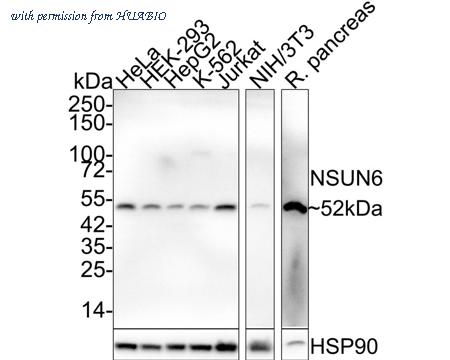 HUABIO HA750835 image 1