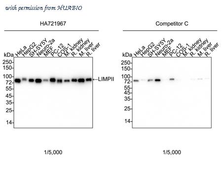 HUABIO HA750865 image 1