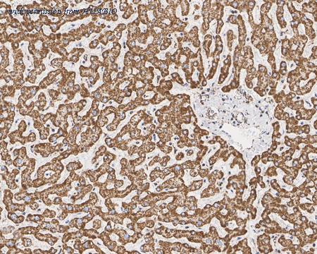 HUABIO HA750866 image 3