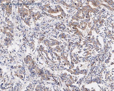 HUABIO HA750889 image 3