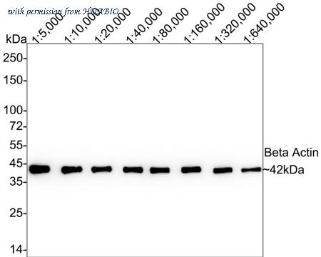 HUABIO HA750898 image 2