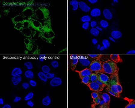 HUABIO HA750924 image 3