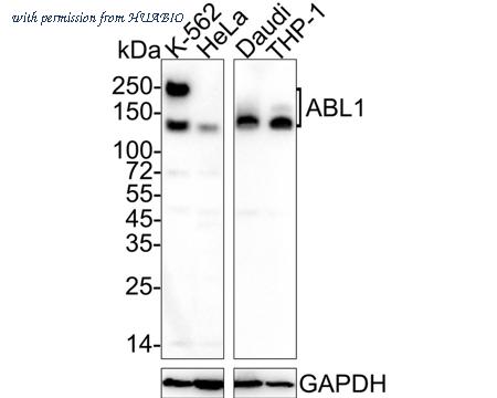 HUABIO HA750931 image 1