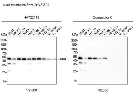 HUABIO HA750939 image 1
