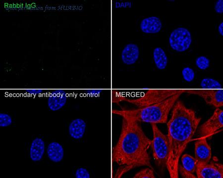 HUABIO HA750951 image 3