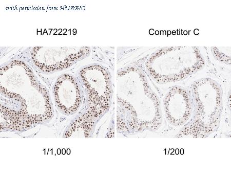 HUABIO HA750978 image 2