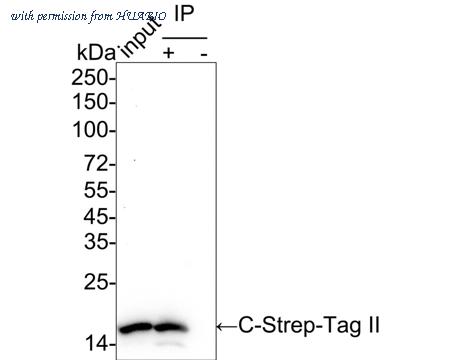 HUABIO HA750987 image 3