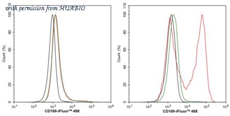 HUABIO HA750992 image 2