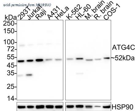 HUABIO HA750994 image 1