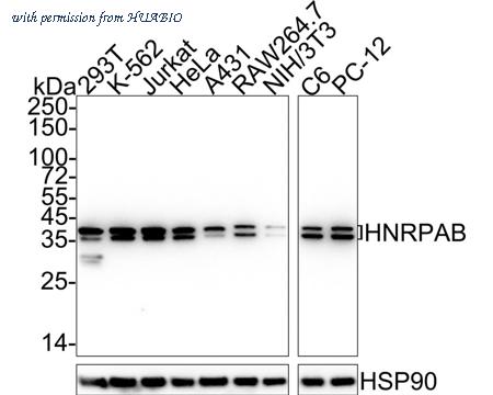 HUABIO HA750996 image 1