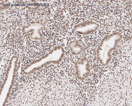 HUABIO HA750996 image 2