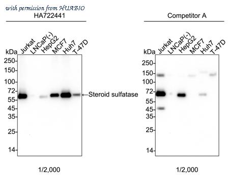 HUABIO HA751024 image 1