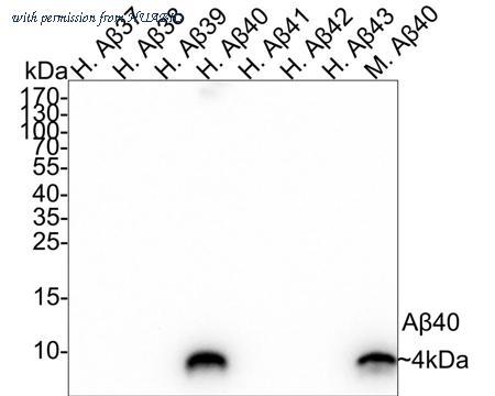HUABIO HA751034 image 1