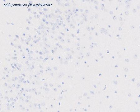 HUABIO HA751034 image 3