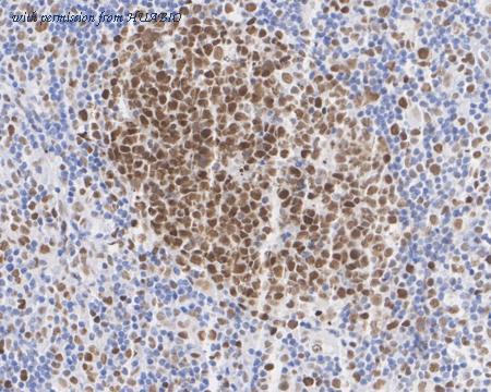 HUABIO HA751051 image 3