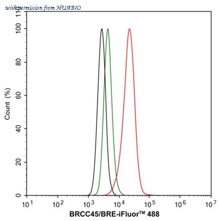 HUABIO HA751053 image 3