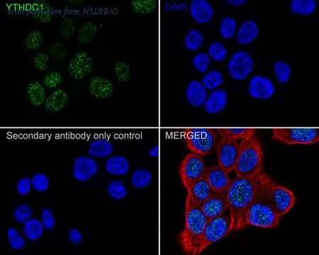 HUABIO HA751064 image 2