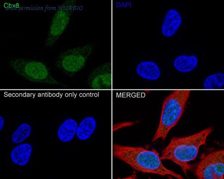 HUABIO HA751091 image 2