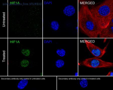 HUABIO HA751127 image 3