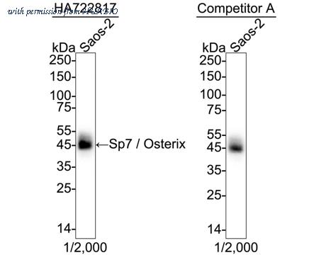 HUABIO HA751150 image 1