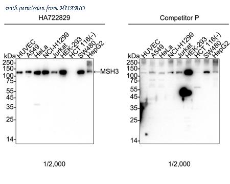 HUABIO HA751162 image 1