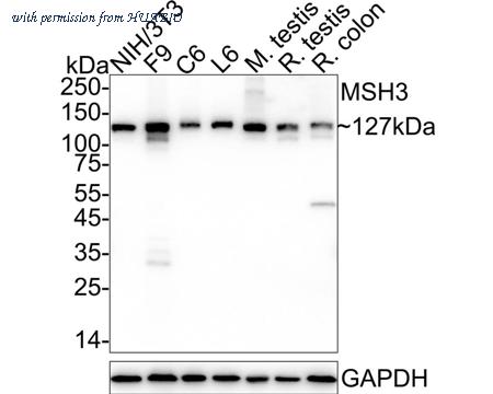 HUABIO HA751162 image 2