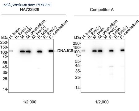 HUABIO HA751197 image 1