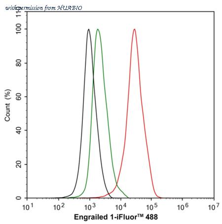HUABIO HA751208 image 2