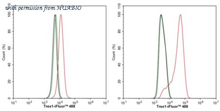 HUABIO HA751249 image 2